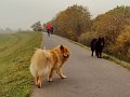 20121021 (13)